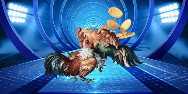 Tìm hiểu tổng quan về kèo đá gà mạng